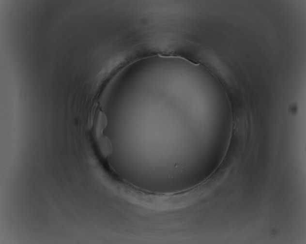 X0000093510023200710191321