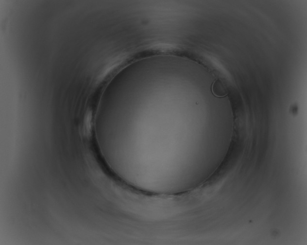 X0000093510024200710191321