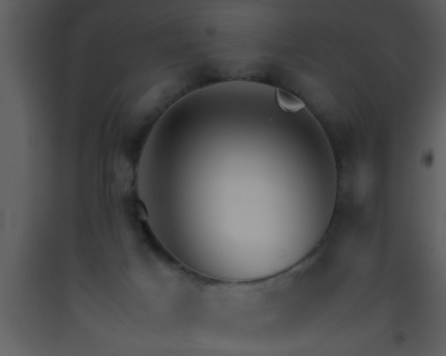 X0000093510025200710191321