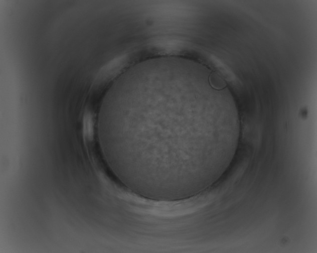 X0000093510026200710191321