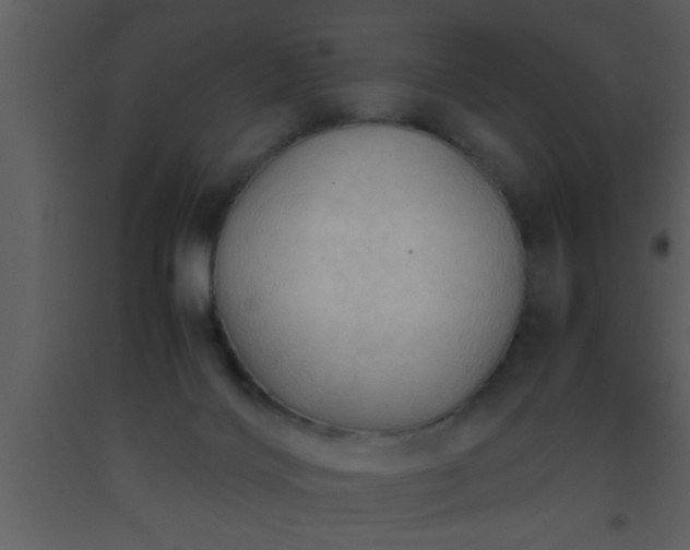 X0000093510028200710191321
