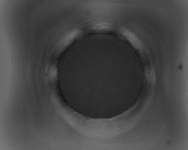 X0000093510029200710191320