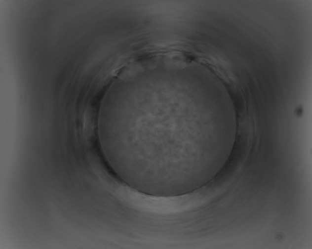 X0000093510030200710191320