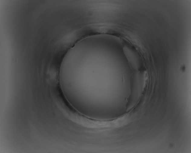 X0000093510031200710191320