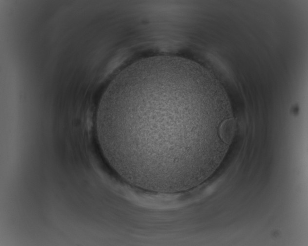 X0000093510032200710191320