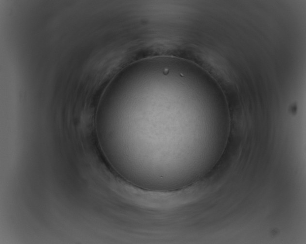 X0000093510034200710191320