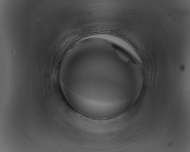 X0000093510035200710191320