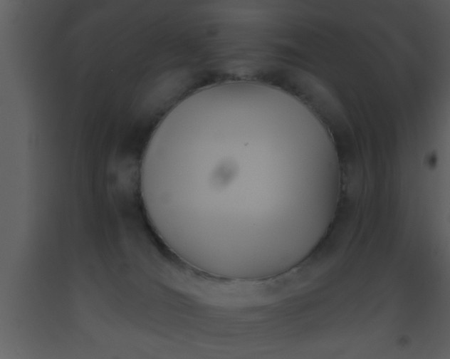 X0000093510036200710191320