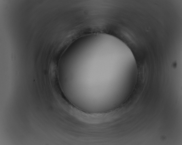 X0000093510038200710191320
