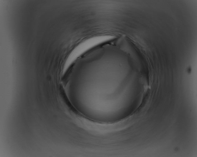 X0000093510039200710191320