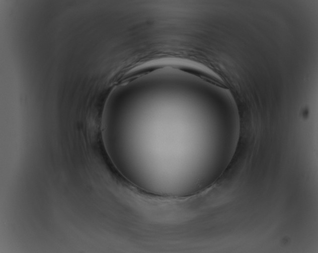 X0000093510040200710191320