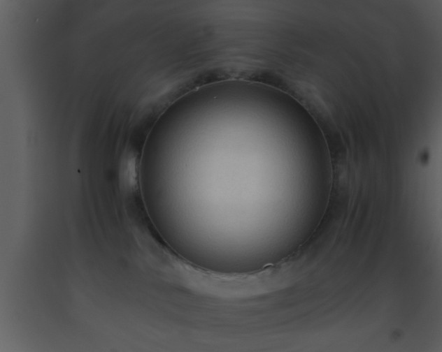 X0000093510042200710191320