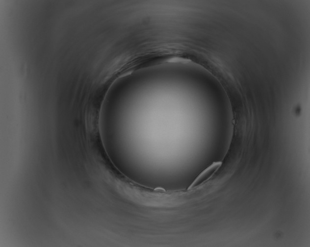 X0000093510044200710191320