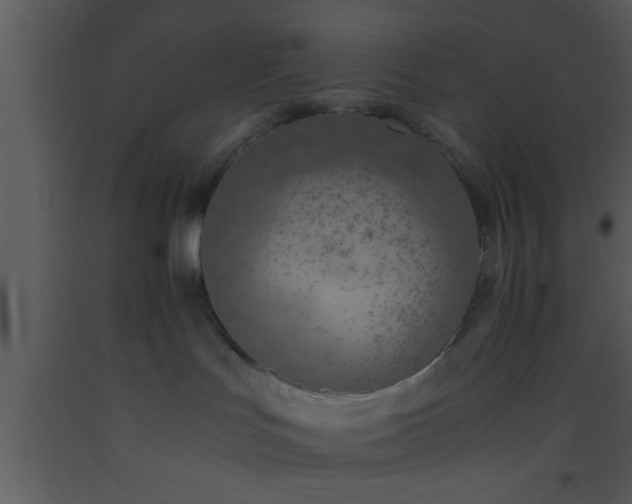X0000093510047200710191320