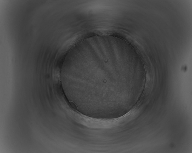 X0000093510048200710191320