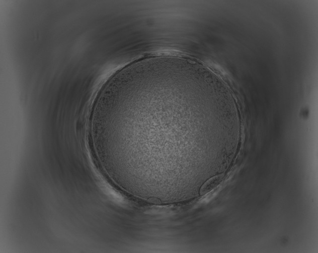 X0000093510049200710191319