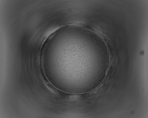 X0000093510050200710191319