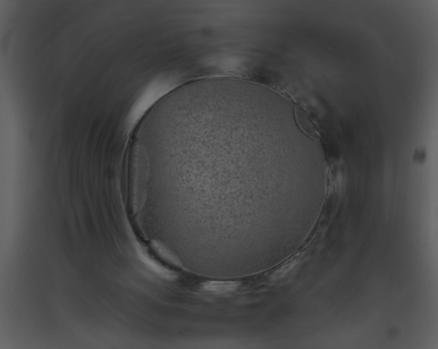 X0000093510051200710191320