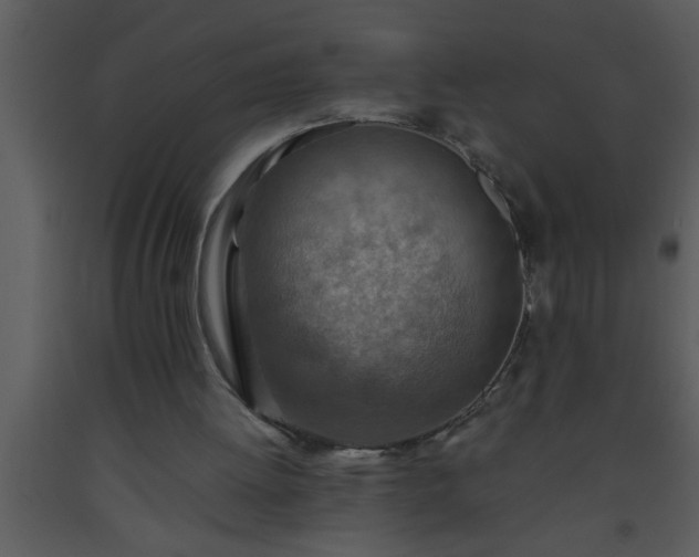 X0000093510052200710191320