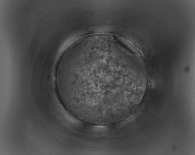 X0000093510053200710191320