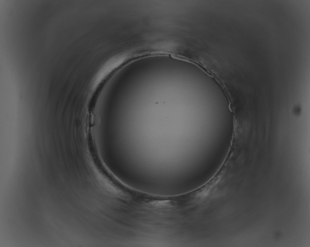 X0000093510054200710191320