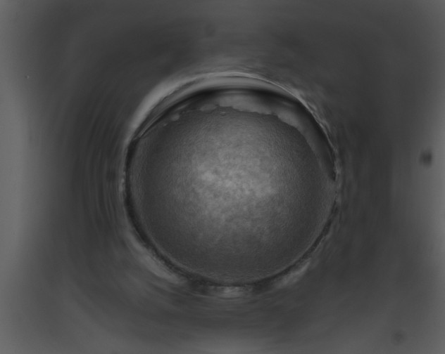 X0000093510056200710191320