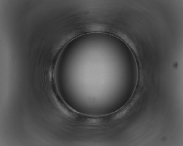 X0000093510057200710191320