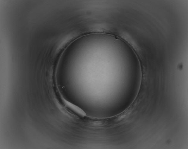 X0000093510058200710191320