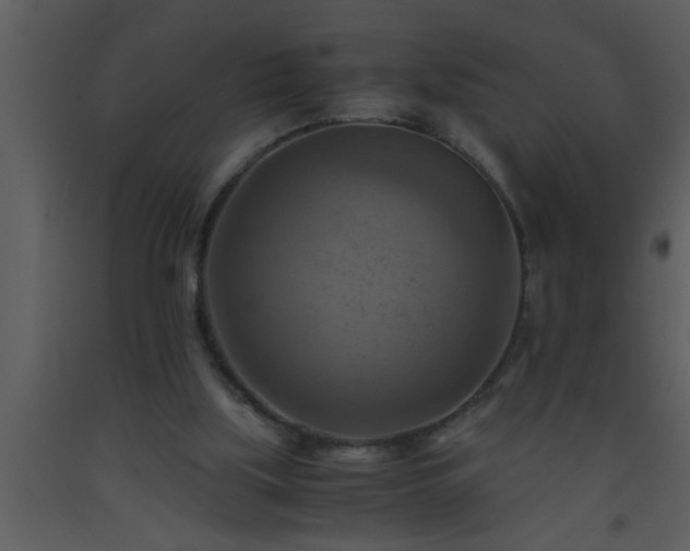X0000093510059200710191320