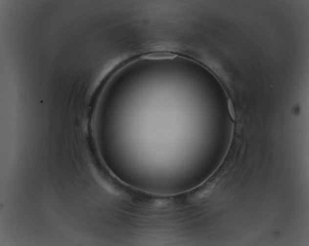 X0000093510060200710191320