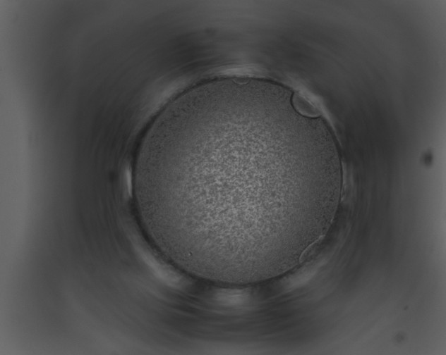 X0000093510061200710191320