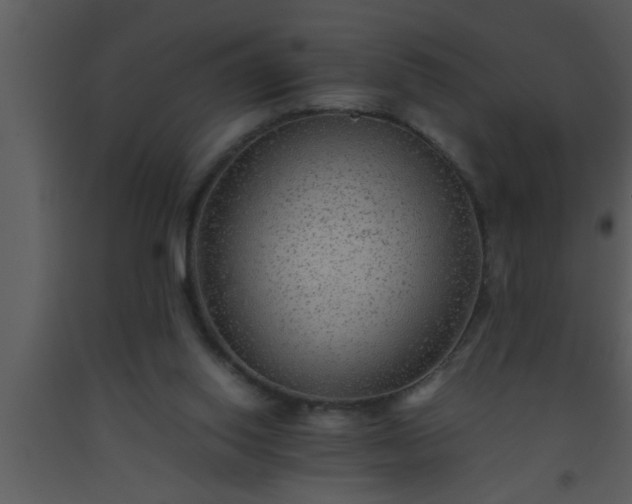 X0000093510062200710191320