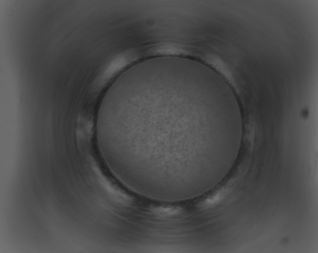 X0000093510063200710191320