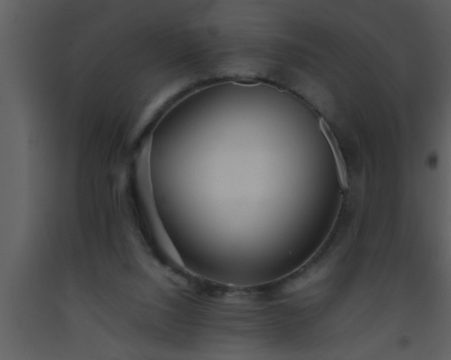 X0000093510064200710191320