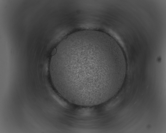 X0000093510065200710191320