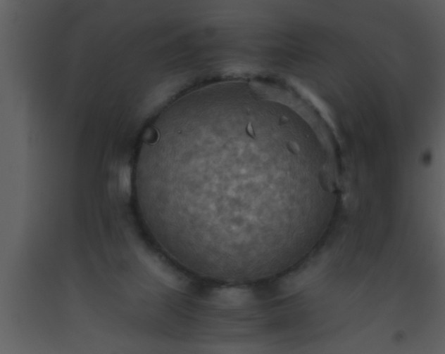 X0000093510067200710191320