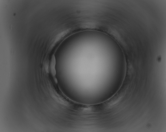 X0000093510068200710191320