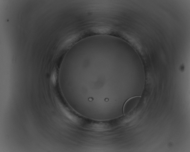 X0000093510069200710191320
