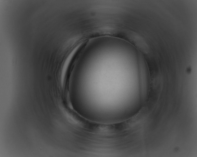 X0000093510070200710191320