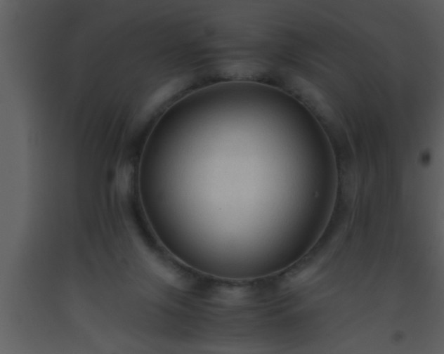 X0000093510071200710191320