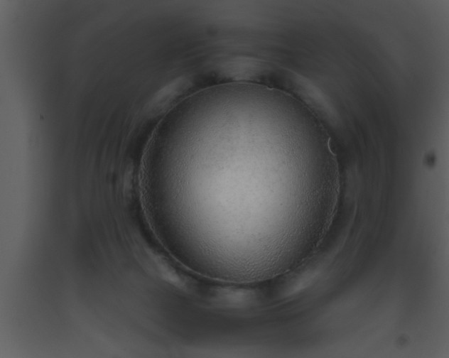 X0000093510073200710191320