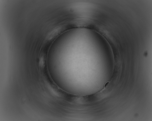 X0000093510074200710191320
