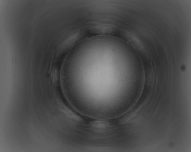 X0000093510077200710191320