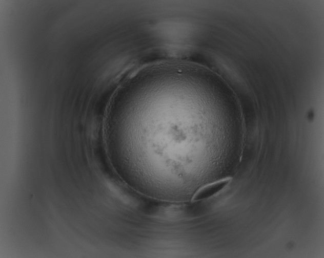 X0000093510078200710191320