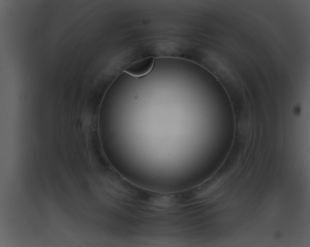 X0000093510079200710191320