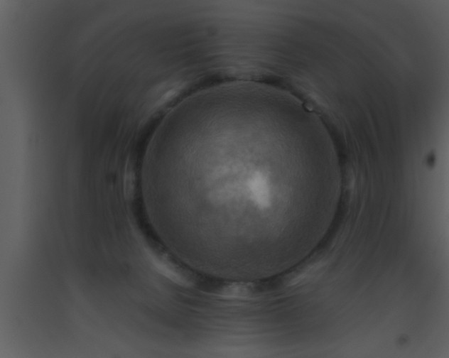 X0000093510080200710191320