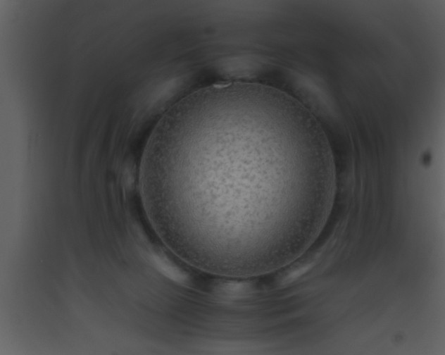 X0000093510081200710191320
