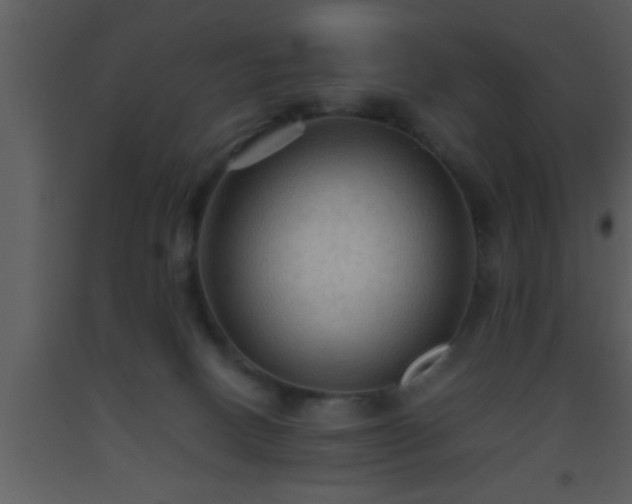 X0000093510082200710191320