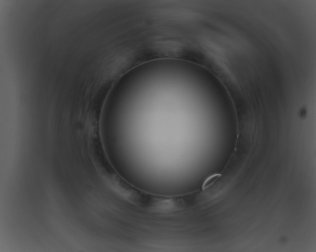 X0000093510083200710191320
