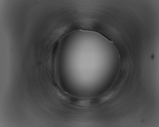 X0000093510084200710191320